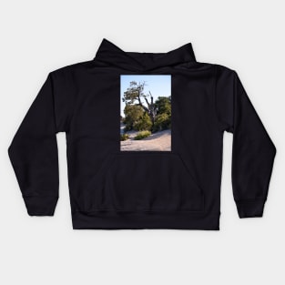 Just trying to Survivie Kids Hoodie